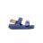 surfy buckles g